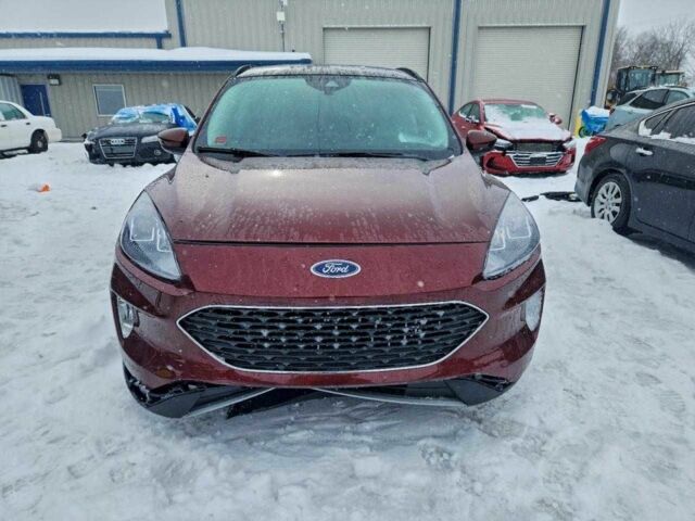 Красный Форд Эскейп, объемом двигателя 1.5 л и пробегом 33 тыс. км за 4500 $, фото 4 на Automoto.ua