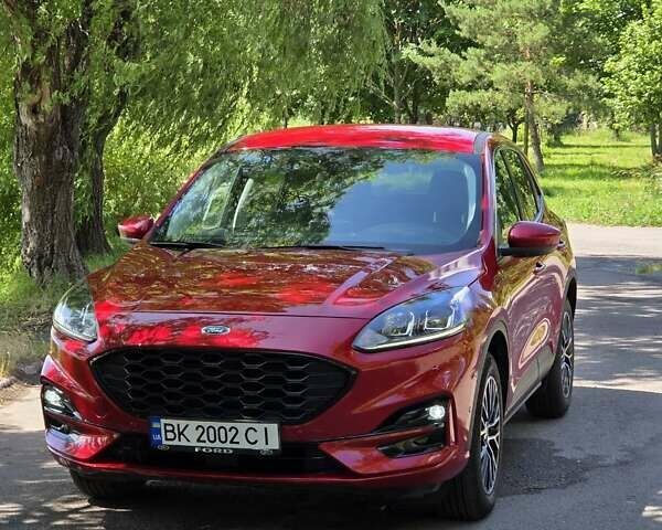 Красный Форд Эскейп, объемом двигателя 2.5 л и пробегом 39 тыс. км за 24500 $, фото 3 на Automoto.ua