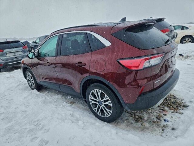 Красный Форд Эскейп, объемом двигателя 1.5 л и пробегом 33 тыс. км за 4500 $, фото 1 на Automoto.ua