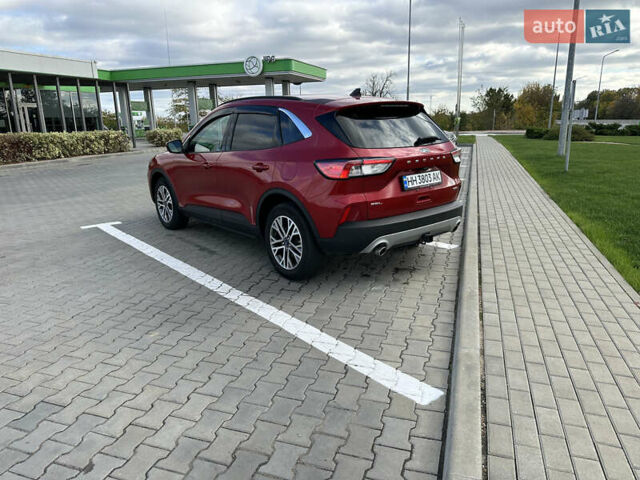 Червоний Форд Ескейп, об'ємом двигуна 2 л та пробігом 49 тис. км за 21000 $, фото 3 на Automoto.ua