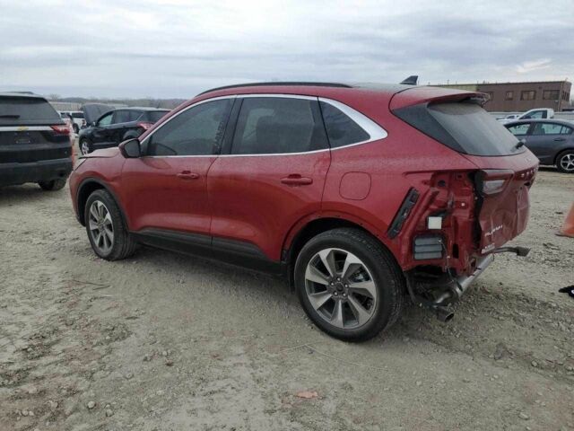 Красный Форд Эскейп, объемом двигателя 2.5 л и пробегом 7 тыс. км за 7500 $, фото 1 на Automoto.ua