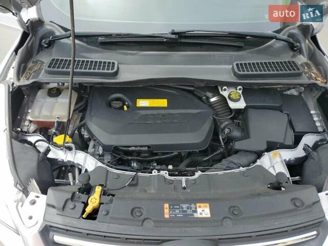 Форд Эскейп 2016 в Луцке на Automoto.ua Форд Эскейп, объемом двигателя 1.6 л и пробегом 127 тыс. км за 1500 $, фото 8 на Automoto.ua