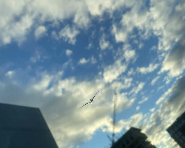 Форд Эскейп, объемом двигателя 2 л и пробегом 155 тыс. км за 15000 $, фото 32 на Automoto.ua