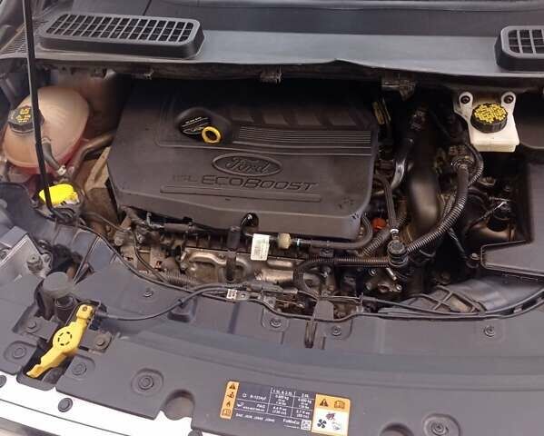 Серый Форд Эскейп, объемом двигателя 1.5 л и пробегом 50 тыс. км за 16700 $, фото 6 на Automoto.ua