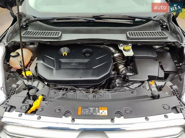 Сірий Форд Ескейп, об'ємом двигуна 2 л та пробігом 204 тис. км за 12200 $, фото 37 на Automoto.ua