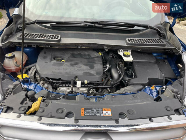 Форд Эскейп 2017 в Ровно на Automoto.ua Синий Форд Эскейп, объемом двигателя 1.5 л и пробегом 141 тыс. км за 11700 $, фото 29 на Automoto.ua