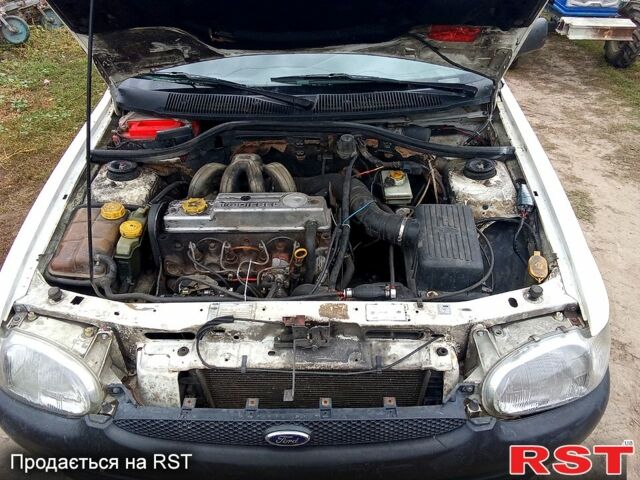 Белый Форд Эскорт, объемом двигателя 1.8 л и пробегом 300 тыс. км за 1300 $, фото 1 на Automoto.ua