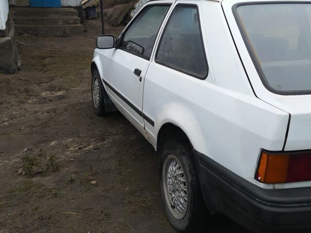 Белый Форд Эскорт, объемом двигателя 1.6 л и пробегом 300 тыс. км за 343 $, фото 3 на Automoto.ua