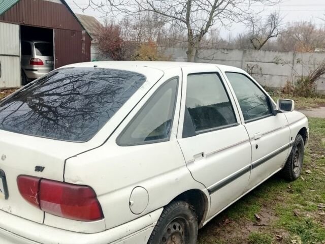 Белый Форд Эскорт, объемом двигателя 6 л и пробегом 8 тыс. км за 550 $, фото 2 на Automoto.ua