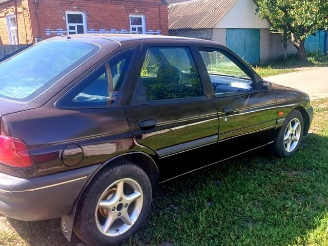 Коричневый Форд Эскорт, объемом двигателя 1.3 л и пробегом 0 тыс. км за 1550 $, фото 2 на Automoto.ua