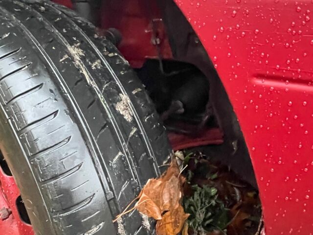 Красный Форд Эскорт, объемом двигателя 1.4 л и пробегом 650 тыс. км за 548 $, фото 8 на Automoto.ua