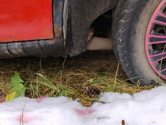 Красный Форд Эскорт, объемом двигателя 1.4 л и пробегом 22 тыс. км за 300 $, фото 3 на Automoto.ua