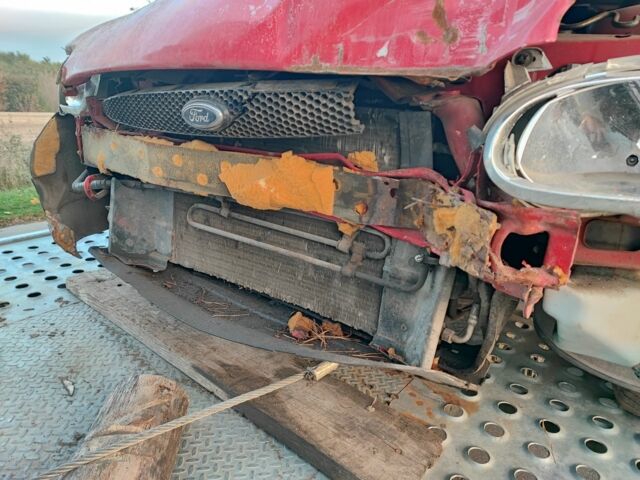 Червоний Форд Ескорт, об'ємом двигуна 0 л та пробігом 200 тис. км за 399 $, фото 2 на Automoto.ua