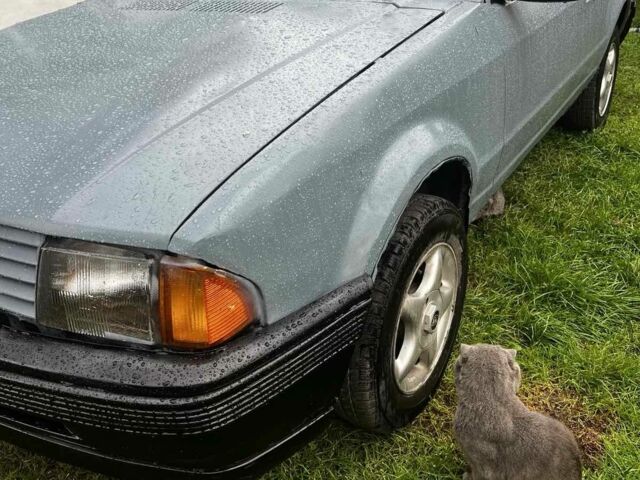 Серый Форд Эскорт, объемом двигателя 1.1 л и пробегом 360 тыс. км за 500 $, фото 1 на Automoto.ua