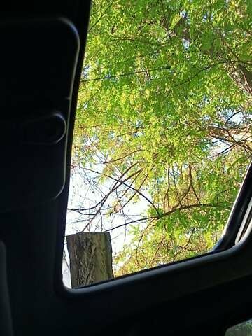 Синий Форд Эскорт, объемом двигателя 1.4 л и пробегом 999 тыс. км за 1492 $, фото 11 на Automoto.ua