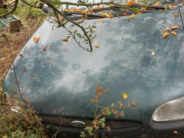 Зеленый Форд Эскорт, объемом двигателя 1 л и пробегом 2 тыс. км за 850 $, фото 2 на Automoto.ua