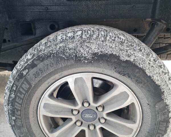 Белый Форд Ф-150, объемом двигателя 5 л и пробегом 59 тыс. км за 37770 $, фото 44 на Automoto.ua