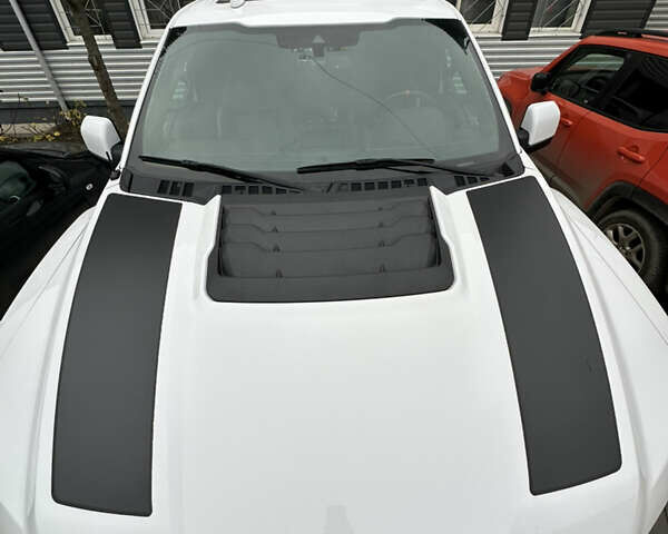 Белый Форд Ф-150, объемом двигателя 3.5 л и пробегом 105 тыс. км за 65000 $, фото 15 на Automoto.ua