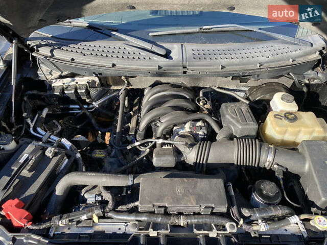 Форд Ф-150 2009 в Житомире на Automoto.ua Черный Форд Ф-150, объемом двигателя 4.6 л и пробегом 183 тыс. км за 9800 $, фото 7 на Automoto.ua