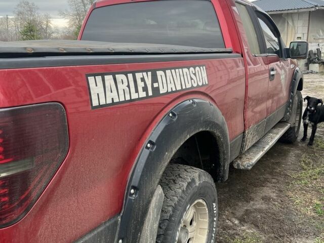 Красный Форд Ф-150, объемом двигателя 5.4 л и пробегом 97 тыс. км за 18000 $, фото 12 на Automoto.ua