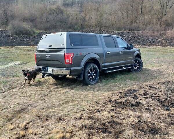 Сірий Форд Ф-150, об'ємом двигуна 2.69 л та пробігом 125 тис. км за 30000 $, фото 9 на Automoto.ua