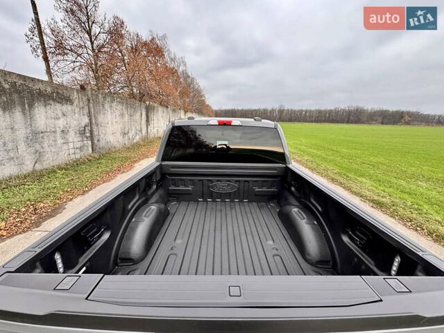 Серый Форд Ф-150, объемом двигателя 3.5 л и пробегом 129 тыс. км за 47777 $, фото 27 на Automoto.ua