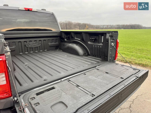 Серый Форд Ф-150, объемом двигателя 3.5 л и пробегом 129 тыс. км за 47777 $, фото 40 на Automoto.ua