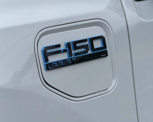 Сірий Форд Ф-150, об'ємом двигуна 0 л та пробігом 15 тис. км за 55555 $, фото 29 на Automoto.ua