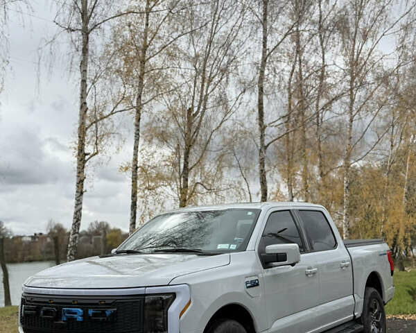 Сірий Форд Ф-150, об'ємом двигуна 0 л та пробігом 15 тис. км за 55555 $, фото 4 на Automoto.ua