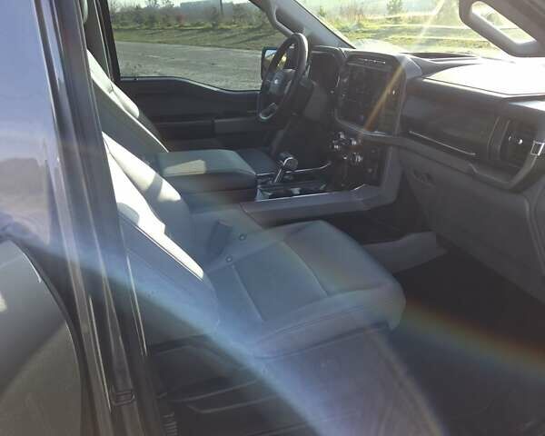 Серый Форд Ф-150, объемом двигателя 0 л и пробегом 9 тыс. км за 42000 $, фото 18 на Automoto.ua