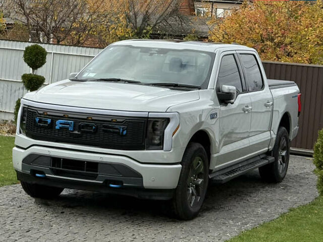 Сірий Форд Ф-150, об'ємом двигуна 0 л та пробігом 15 тис. км за 55555 $, фото 30 на Automoto.ua