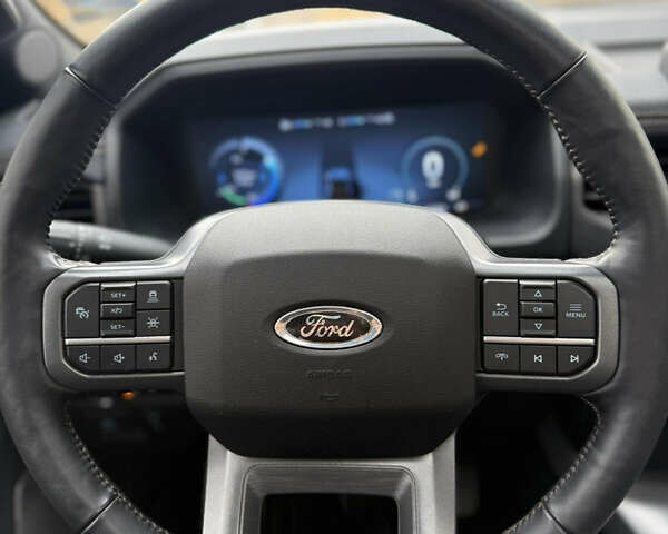 Сірий Форд Ф-150, об'ємом двигуна 0 л та пробігом 15 тис. км за 55555 $, фото 24 на Automoto.ua