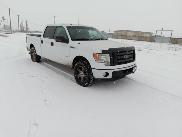 Белый Форд F-Series, объемом двигателя 0 л и пробегом 470 тыс. км за 14500 $, фото 2 на Automoto.ua