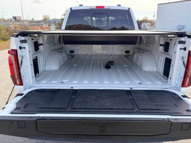 Белый Форд F-Series, объемом двигателя 3.5 л и пробегом 25 тыс. км за 22500 $, фото 11 на Automoto.ua