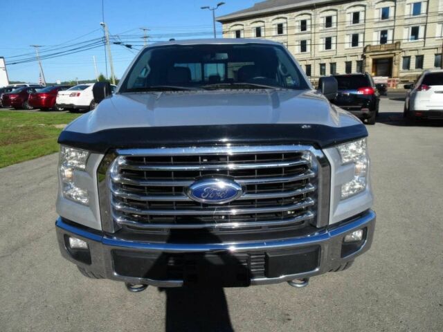 Форд F-Series 2015 в Тернополе на Automoto.ua Серый Форд F-Series, объемом двигателя 5 л и пробегом 70 тыс. км за 15700 $, фото 1 на Automoto.ua