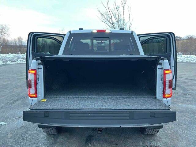 Серый Форд F-Series, объемом двигателя 3.5 л и пробегом 20 тыс. км за 16900 $, фото 13 на Automoto.ua