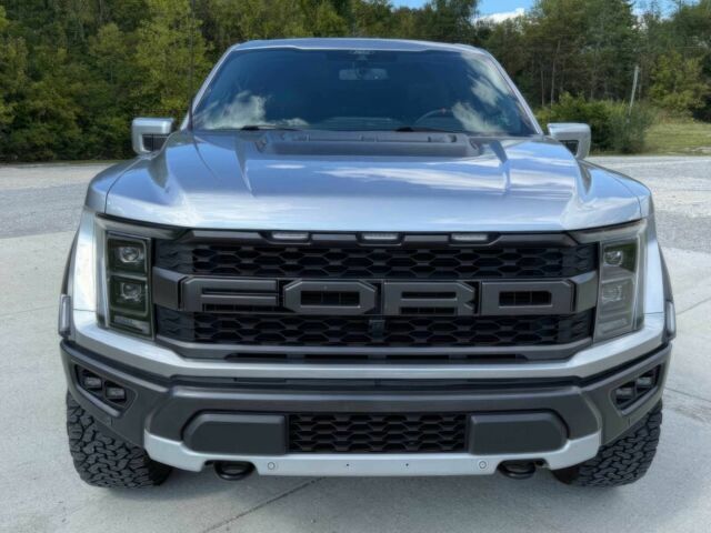 Сірий Форд F-Series, об'ємом двигуна 3.5 л та пробігом 19 тис. км за 24000 $, фото 1 на Automoto.ua