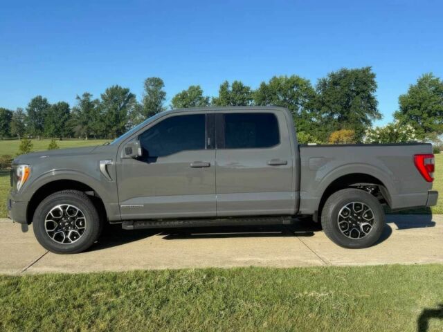 Серый Форд F-Series, объемом двигателя 3.5 л и пробегом 24 тыс. км за 27900 $, фото 2 на Automoto.ua