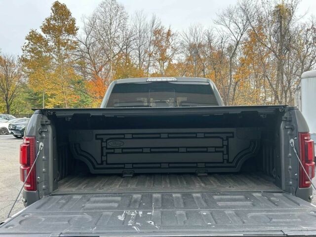 Сірий Форд F-Series, об'ємом двигуна 3.5 л та пробігом 10 тис. км за 8900 $, фото 10 на Automoto.ua