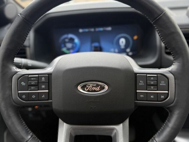 Серый Форд F-Series, объемом двигателя 0 л и пробегом 16 тыс. км за 55000 $, фото 2 на Automoto.ua