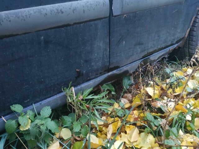 Чорний Форд Фестіва, об'ємом двигуна 1.2 л та пробігом 360 тис. км за 1074 $, фото 5 на Automoto.ua