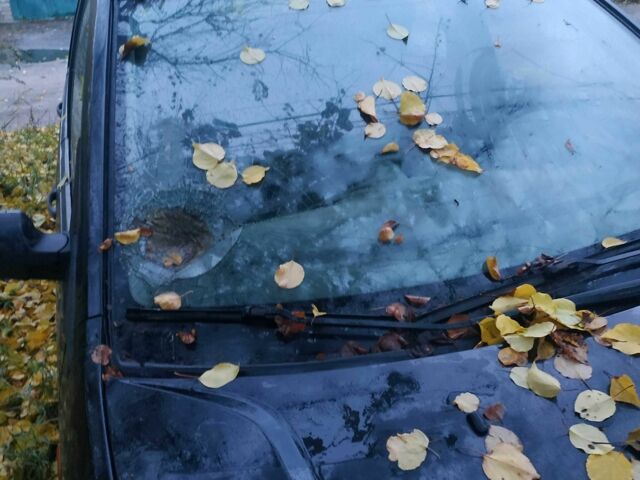 Чорний Форд Фестіва, об'ємом двигуна 1.2 л та пробігом 360 тис. км за 1074 $, фото 1 на Automoto.ua