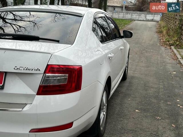 Білий Форд Фієста, об'ємом двигуна 1.4 л та пробігом 240 тис. км за 5990 $, фото 25 на Automoto.ua