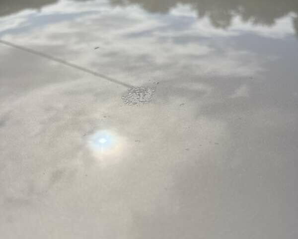 Форд Фиеста 2016 в Полтаве на Automoto.ua Бежевый Форд Фиеста, объемом двигателя 1 л и пробегом 96 тыс. км за 9800 $, фото 18 на Automoto.ua