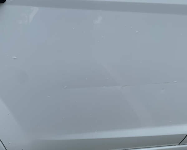 Білий Форд Фокус, об'ємом двигуна 1.4 л та пробігом 325 тис. км за 5000 $, фото 52 на Automoto.ua