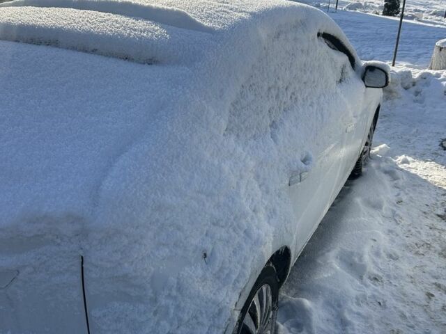 Білий Форд Фокус, об'ємом двигуна 1.6 л та пробігом 320 тис. км за 2500 $, фото 4 на Automoto.ua