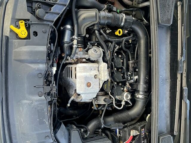 Белый Форд Фокус, объемом двигателя 1 л и пробегом 135 тыс. км за 5500 $, фото 10 на Automoto.ua