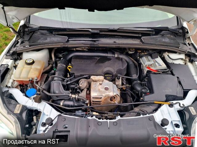 Белый Форд Фокус, объемом двигателя 1 л и пробегом 149 тыс. км за 5600 $, фото 12 на Automoto.ua