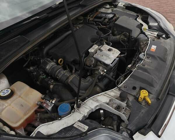 Форд Фокус 2014 в Каменское - Днепродзержинск на Automoto.ua Белый Форд Фокус, объемом двигателя 1 л и пробегом 142 тыс. км за 7800 $, фото 13 на Automoto.ua