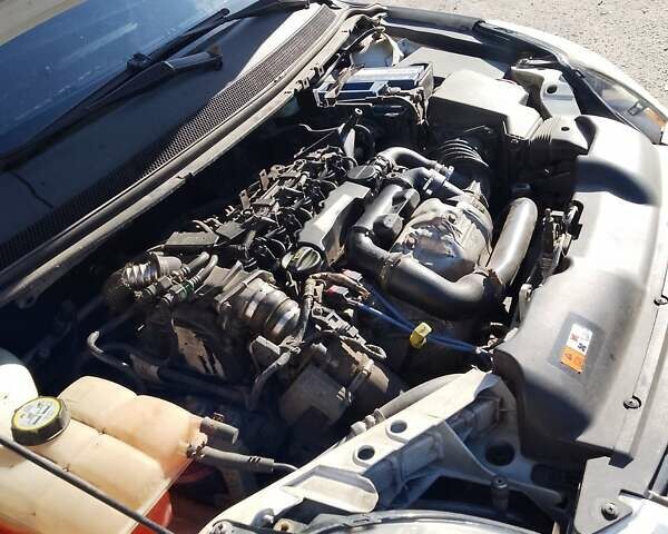 Белый Форд Фокус, объемом двигателя 1.6 л и пробегом 292 тыс. км за 6500 $, фото 15 на Automoto.ua